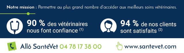 Visuel silouhettes SantéVet